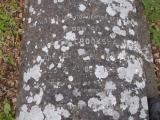 image of grave number 776550